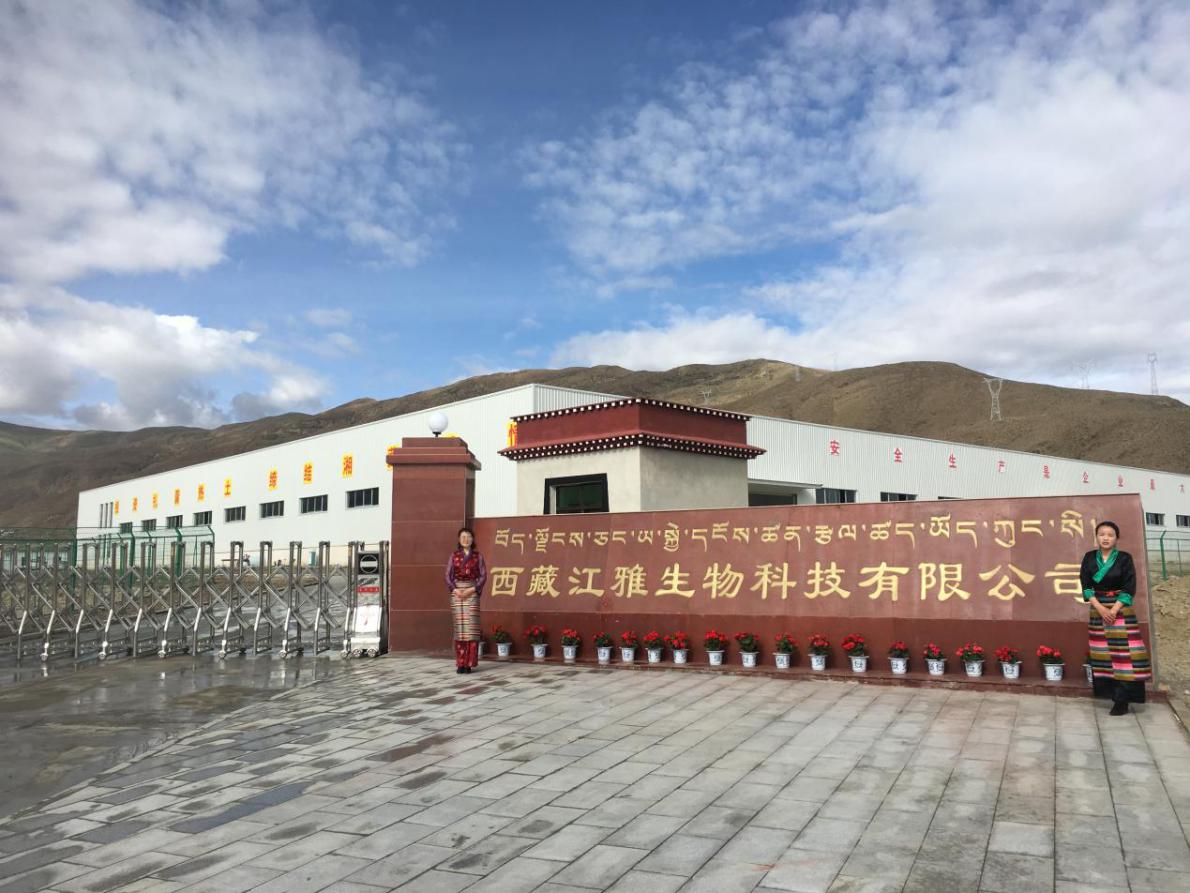 长春万龙生物科技(长春万龙集团怎么样)